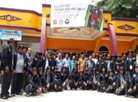 pelatihan sawit
