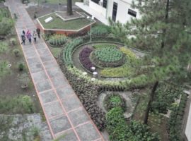 DSC_0467 (448 x 298)