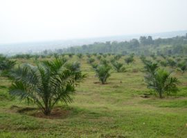 Foto 23 Blok 2 (2304 x 1536)