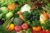 cover semhorti (448 x 298)
