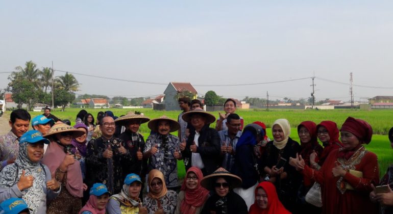 WhatsApp Image 2018-05-13 at 09.06.51