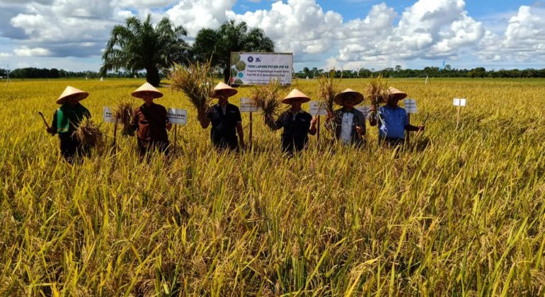 WhatsApp Image 2018-12-09 at 17.52.18