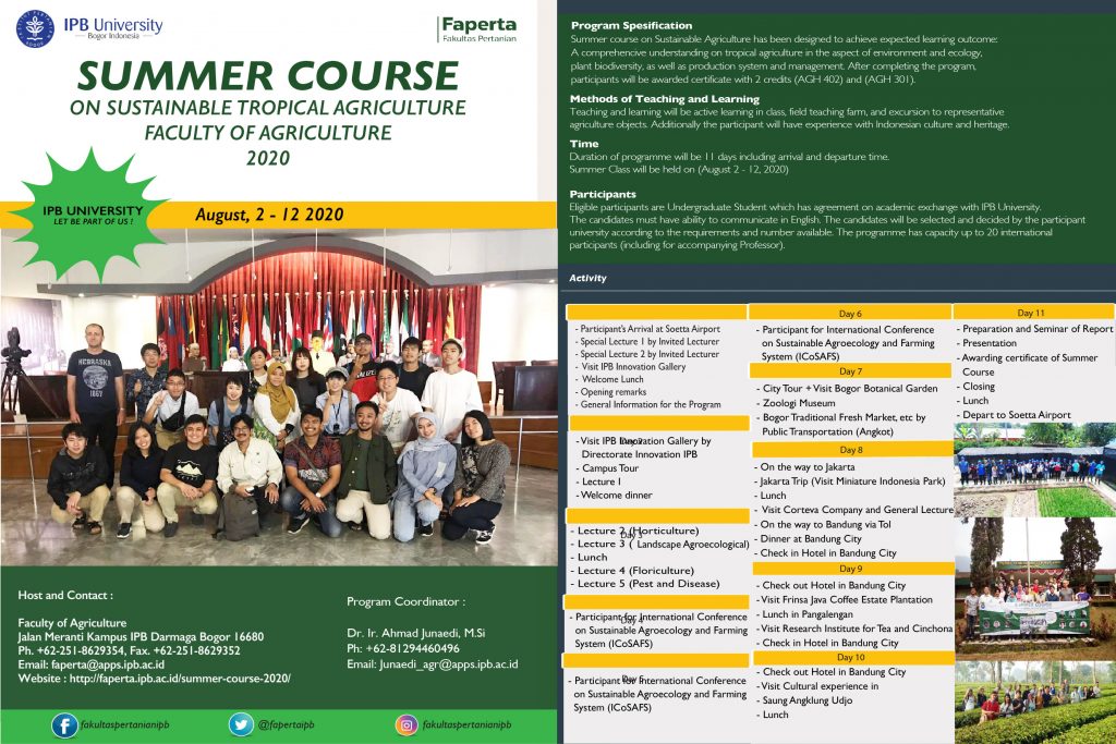 Summer courses university