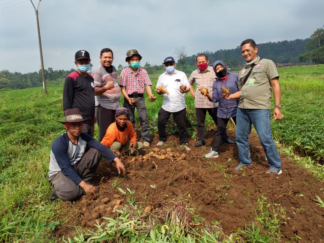 WhatsApp Image 2021-03-29 at 15.52.01