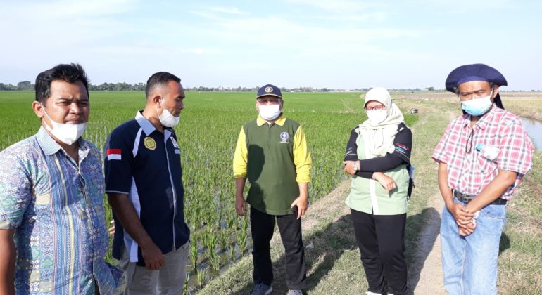 WhatsApp Image 2021-08-07 at 13.46.06