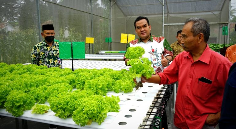 220723204425IMG-20220723-WA0088