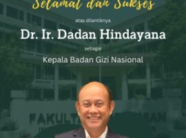 WhatsApp Image 2024-08-19 at 19.16.09