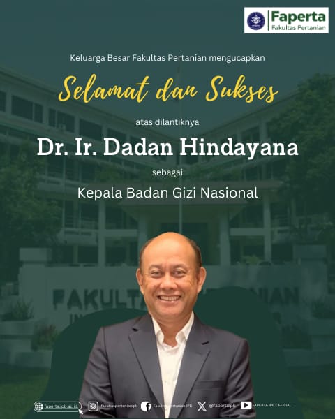 WhatsApp Image 2024-08-19 at 19.16.09