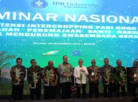 Picture Seminadr Sentul 2