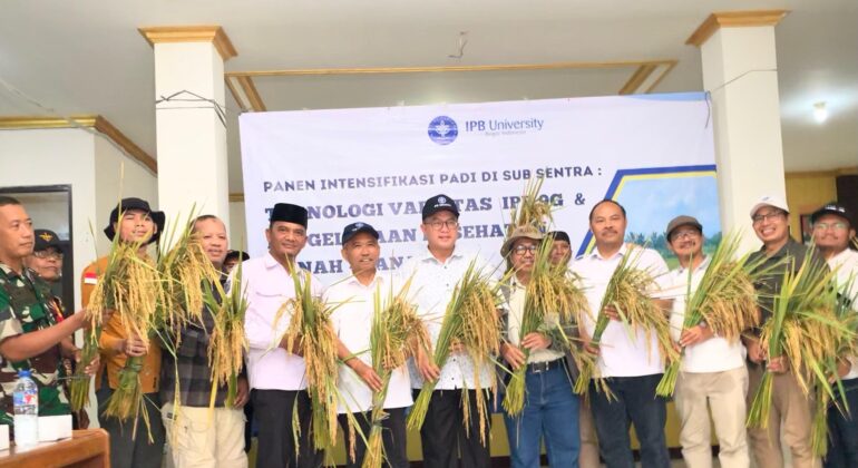 WhatsApp Image 2025-04-14 at 11.53.22