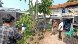 Pemasangan AWS di lokasi demplot

