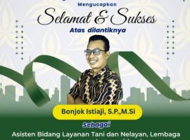 WhatsApp Image 2026-02-20 at 16.22.07 (2)